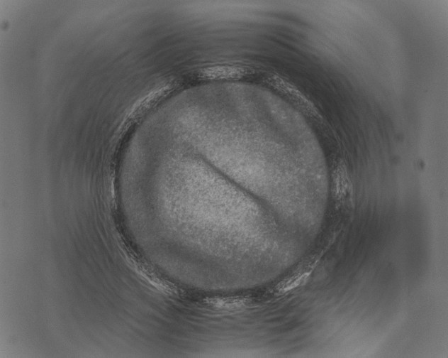 X0000070390733200606231737