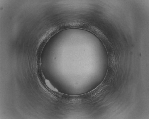 X0000070390734200606231737