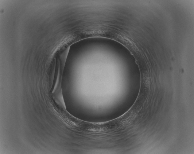 X0000070390735200606231737