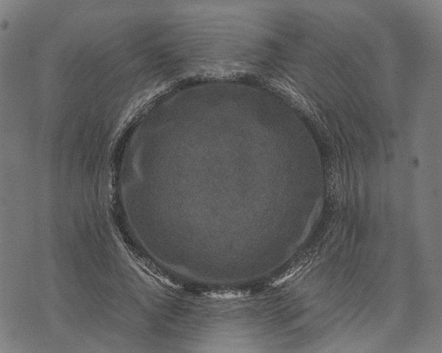 X0000070390736200606231737