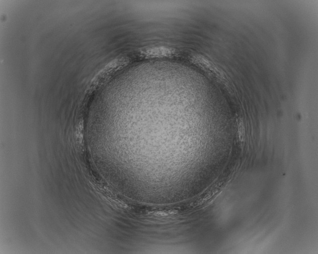 X0000070390737200606231737