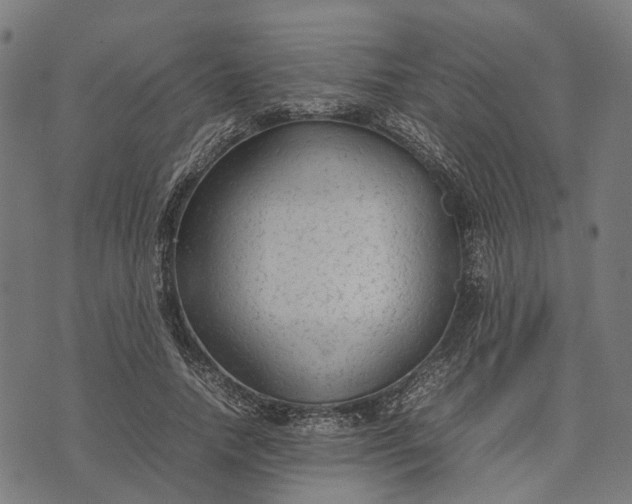 X0000070390738200606231737