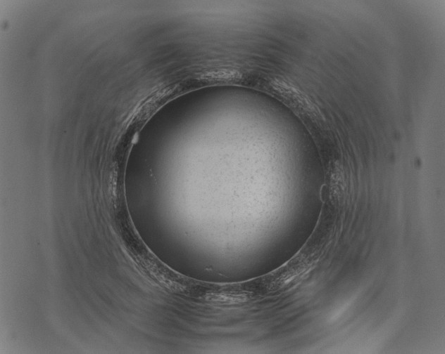 X0000070390739200606231737