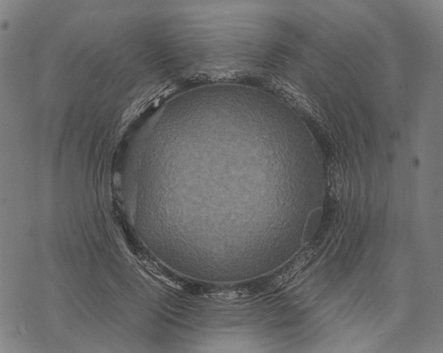 X0000070390740200606231737