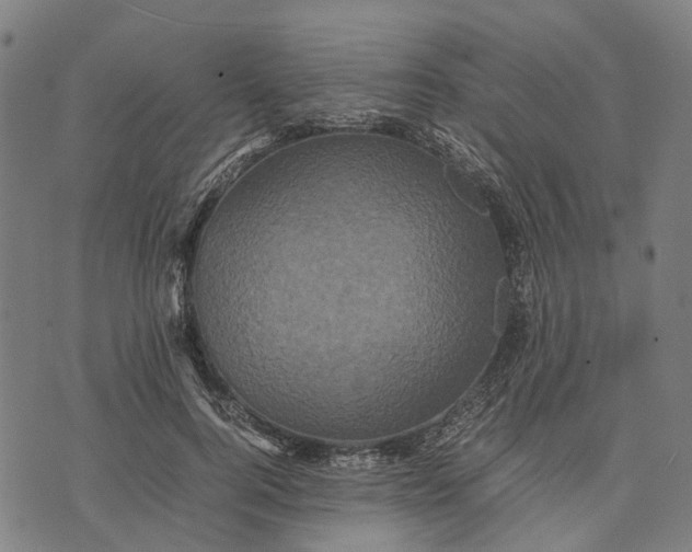 X0000070390744200606231737