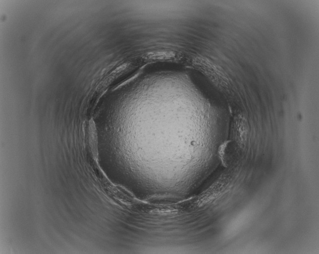 X0000070390745200606231737