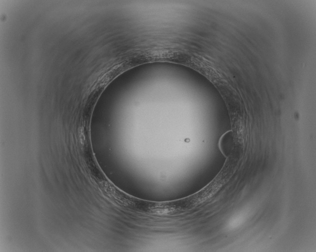 X0000070390746200606231737