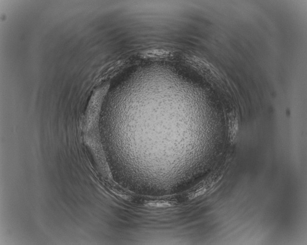 X0000070390749200606231737