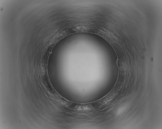 X0000070390751200606231737