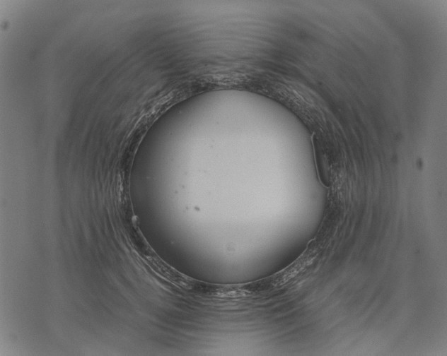 X0000070390752200606231737