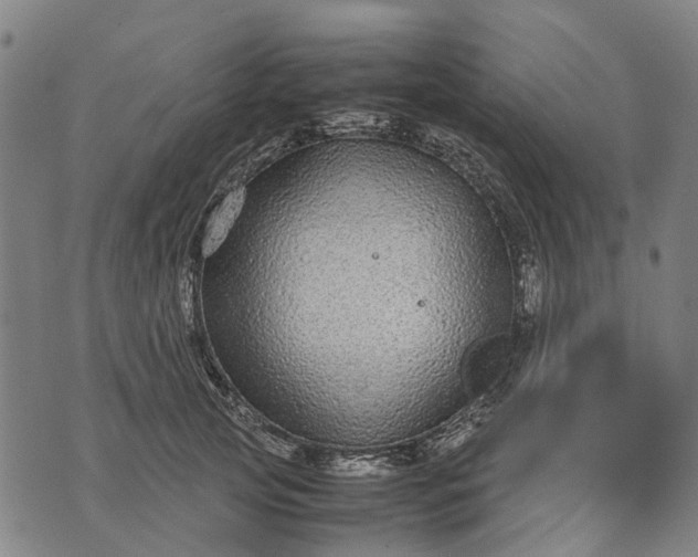 X0000070390753200606231737