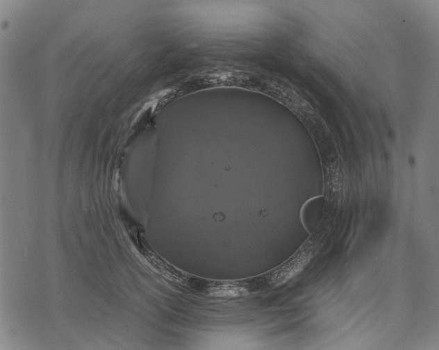 X0000070390754200606231737