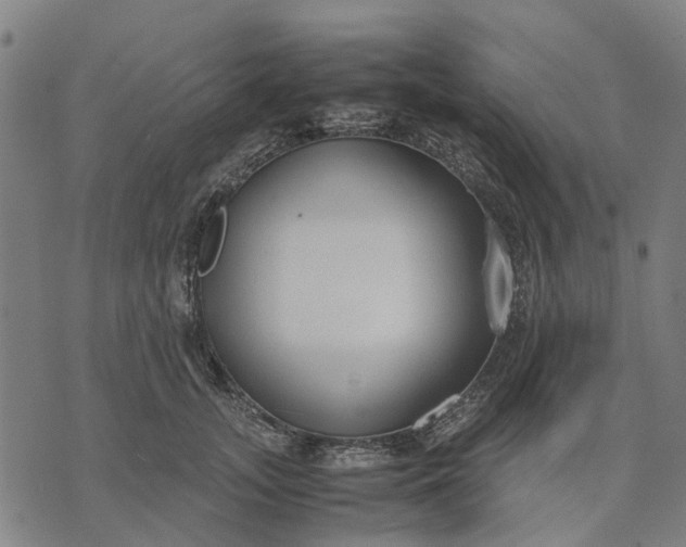 X0000070390755200606231737