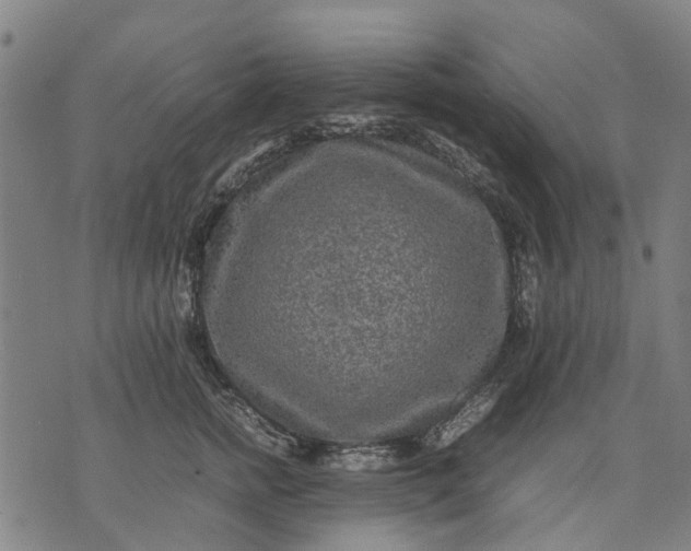 X0000070390758200606231737