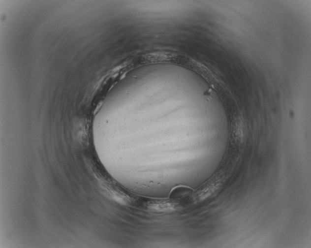 X0000070390759200606231737