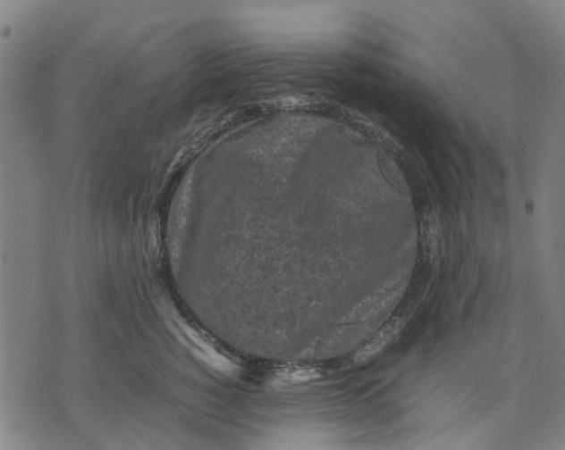 X0000070390760200606231737