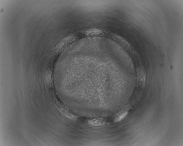 X0000070390761200606231737