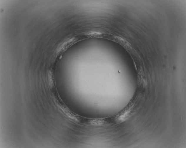 X0000070390762200606231737