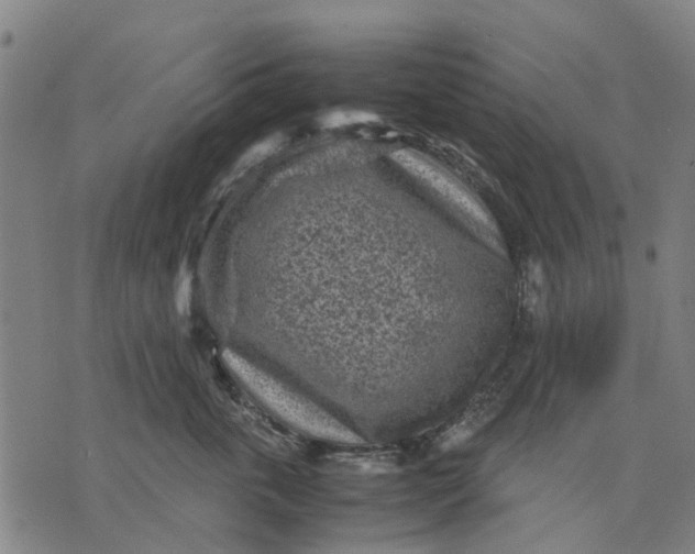 X0000070390763200606231737