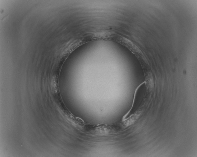 X0000070390764200606231737