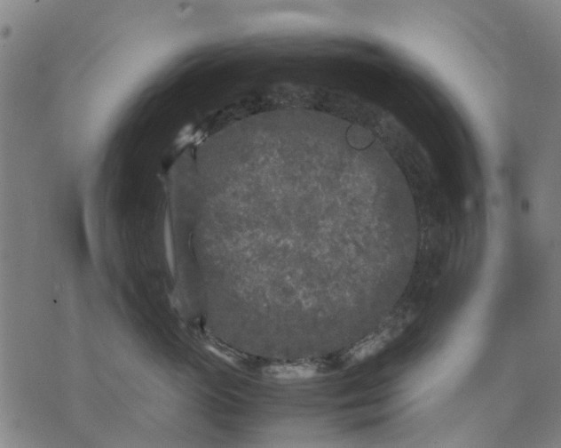 X0000070390765200606231737