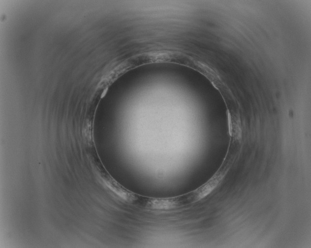 X0000070390766200606231737