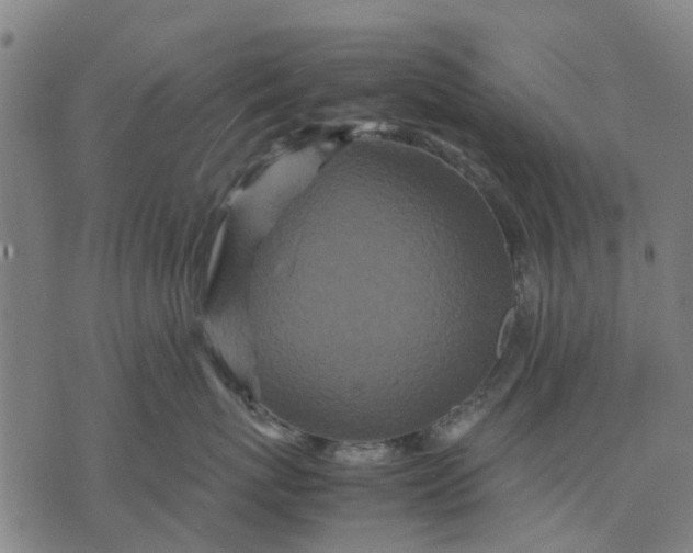 X0000070390767200606231737