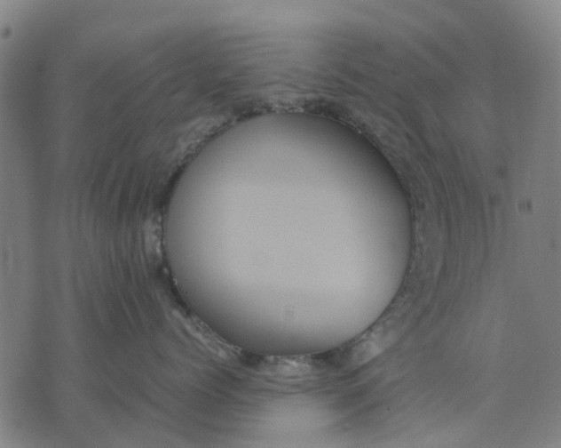 X0000070390768200606231737