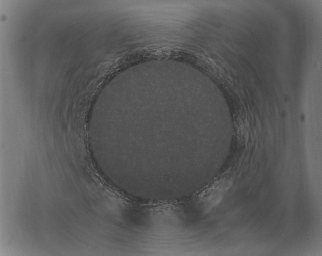 X0000070390769200606231736