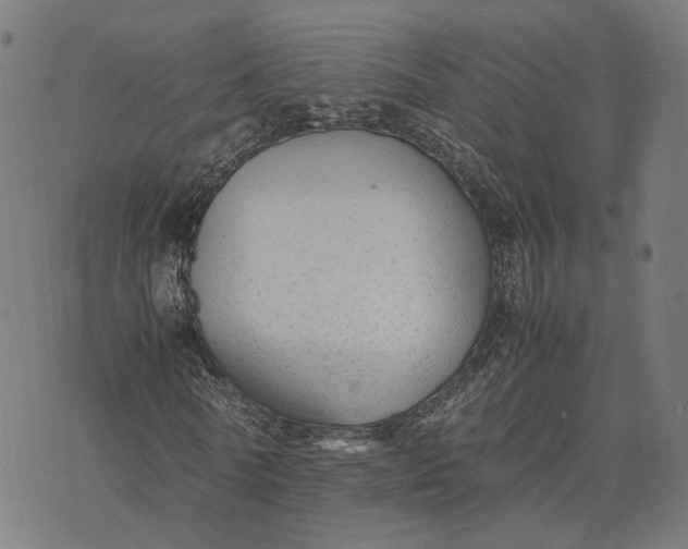 X0000070390770200606231736