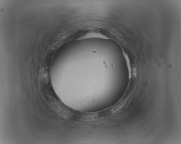 X0000070390771200606231736