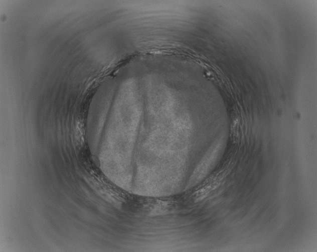 X0000070390772200606231736