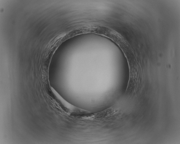 X0000070390773200606231736