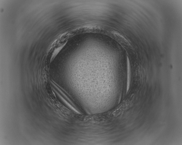 X0000070390776200606231736