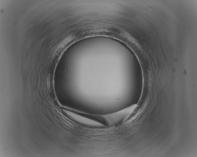 X0000070390777200606231736