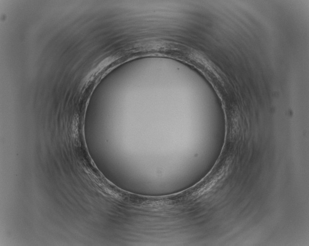 X0000070390778200606231736