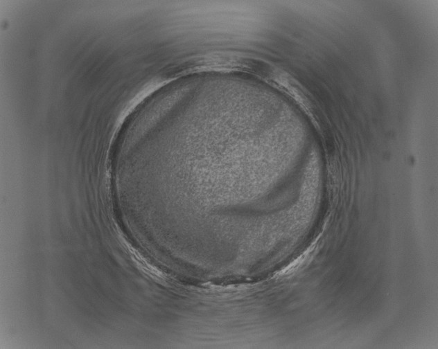 X0000070390779200606231736