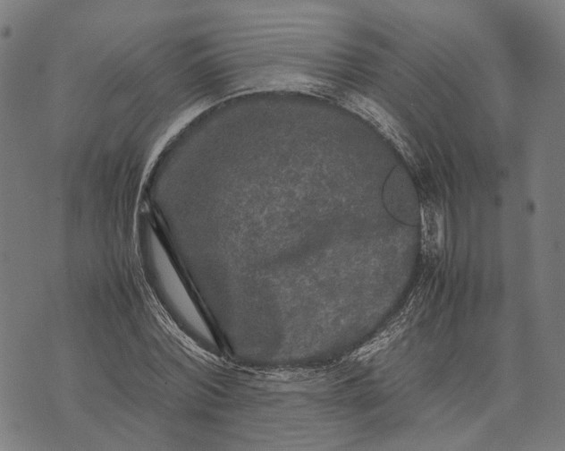 X0000070390780200606231736