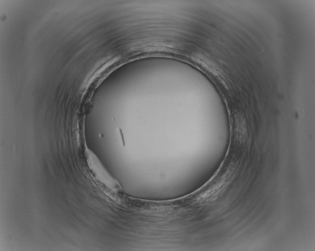 X0000070390782200606231736