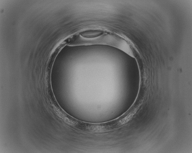 X0000070390783200606231736