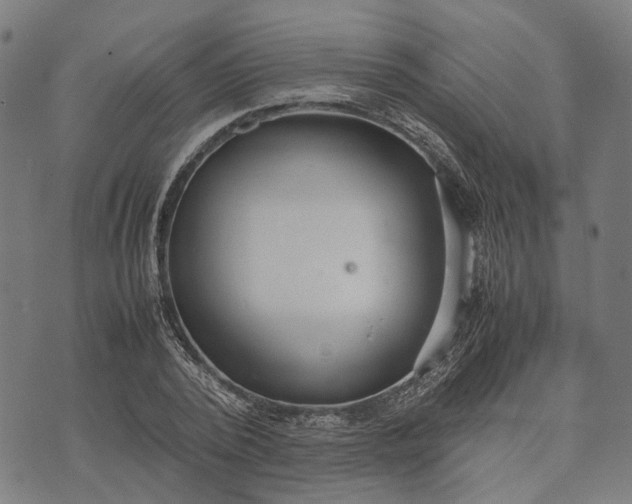 X0000070390784200606231736