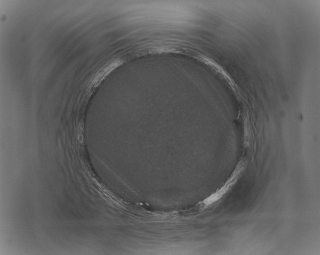 X0000070390785200606231736