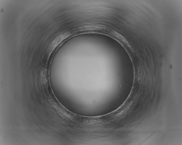 X0000070390786200606231736