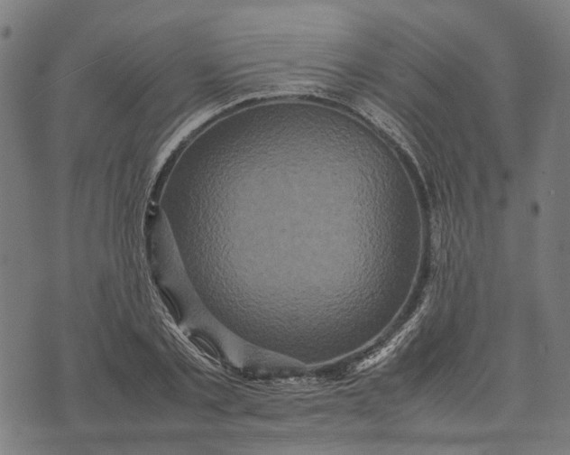 X0000070390789200606231736