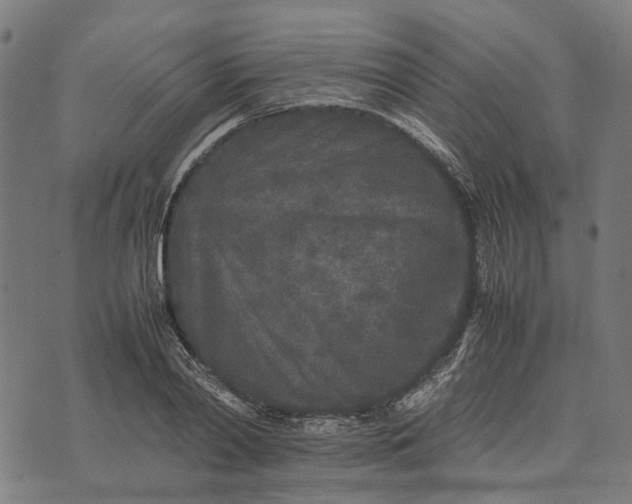 X0000070390790200606231736