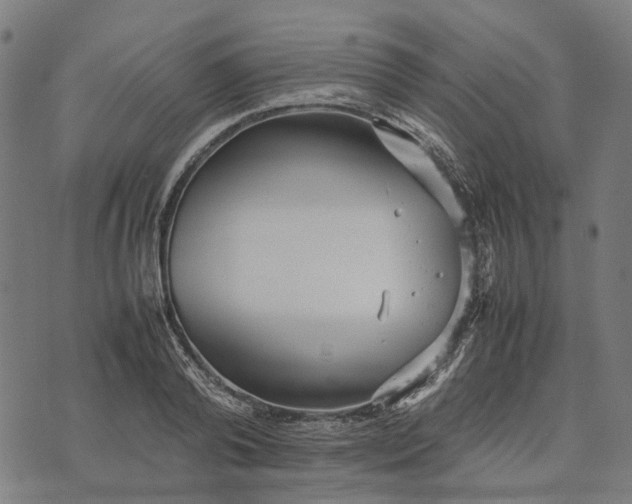 X0000070390792200606231736