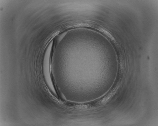 X0000070390793200606231736