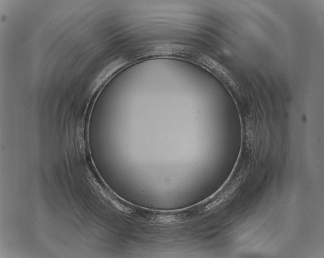 X0000070390794200606231736