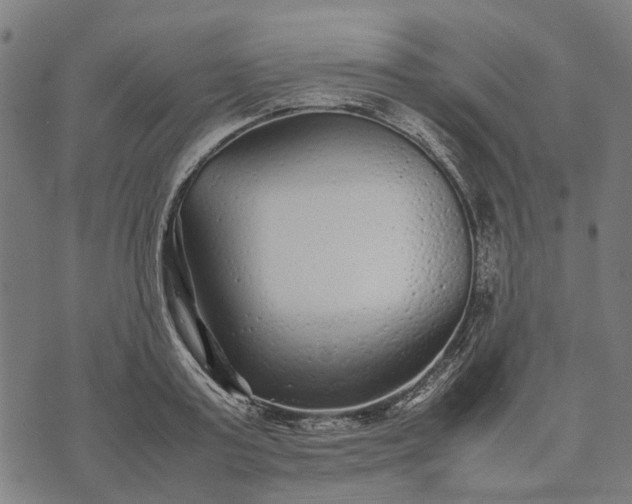 X0000070390795200606231736