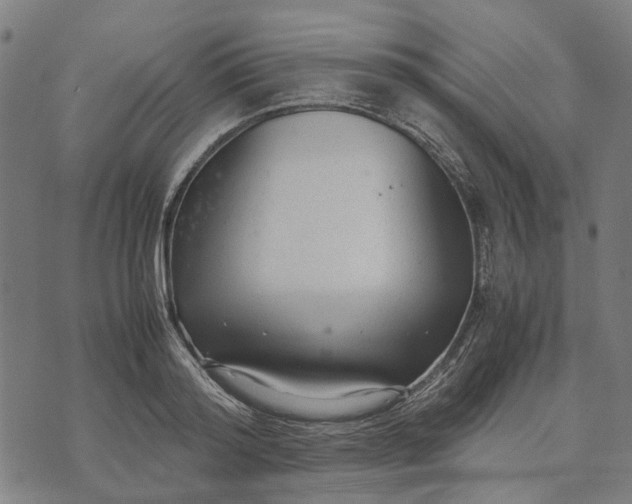 X0000070390796200606231736